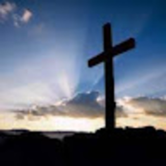 Meet your Posher, Toby - Picture 1 of 1